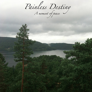 综合色区亚洲熟妇在线观看
